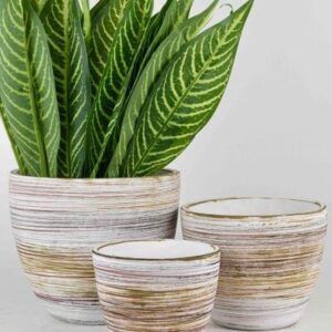 Ceramic Pot Set of 3