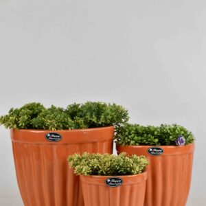 Ceramic Pot Set of 3