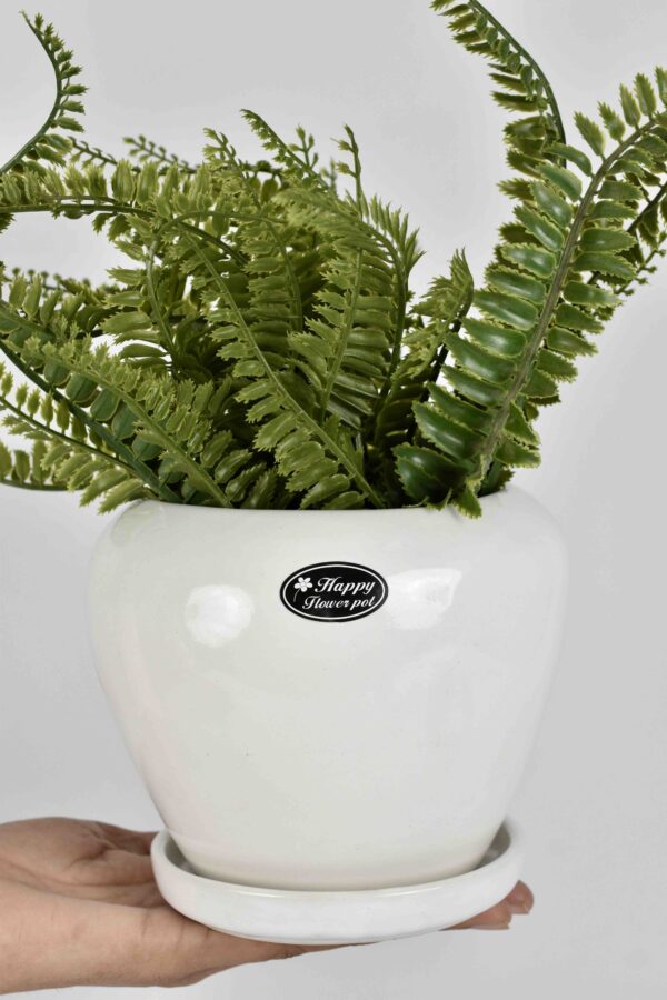 Ceramic Pot with Plate H6" D6"