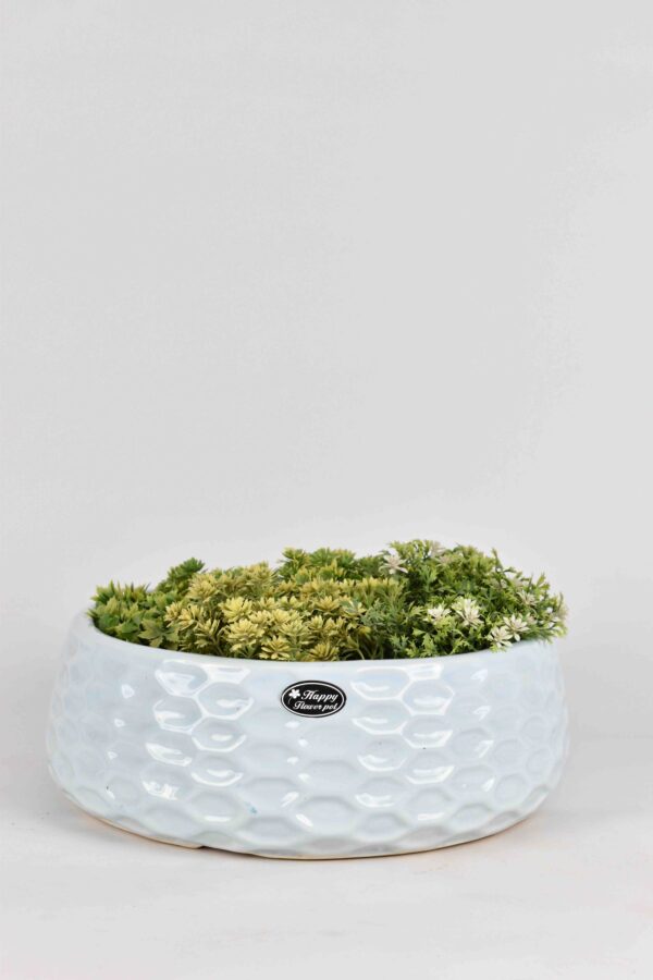 Ceramic Bonasai Pot 12'' INCHES
