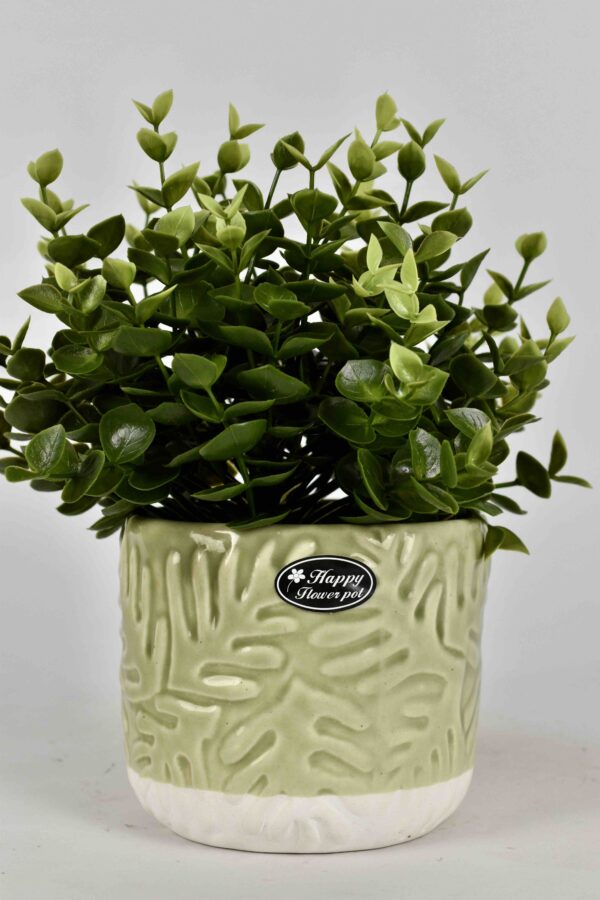 Ceramic Pot H4.5'' D5''