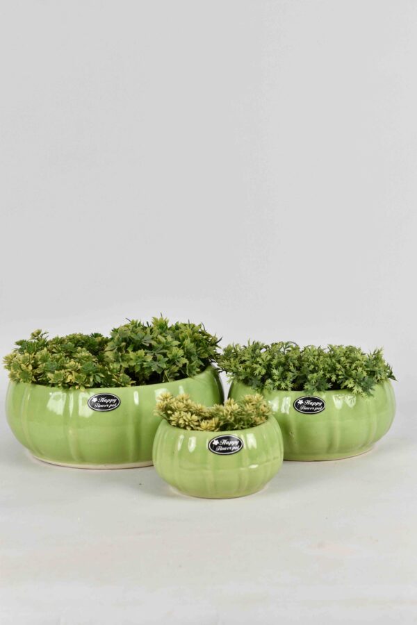 Ceramic Bonsai Set of 3